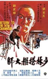 Return to the 36th Chamber poster