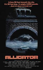 Alligator poster