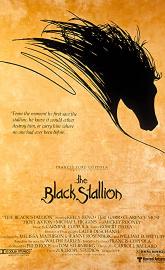 The Black Stallion poster