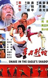 Snake in the Eagle's Shadow poster