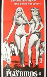The Playbirds poster