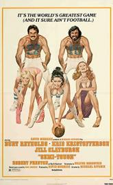 Semi-Tough poster