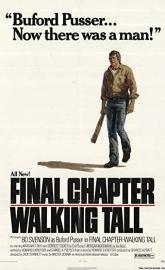 Final Chapter: Walking Tall poster