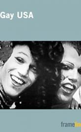 Gay USA poster