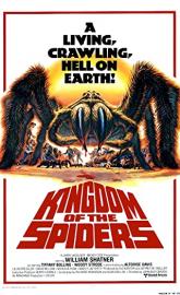 Kingdom of the Spiders poster