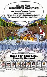 Race for Your Life, Charlie Brown poster