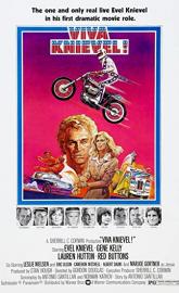 Viva Knievel! poster