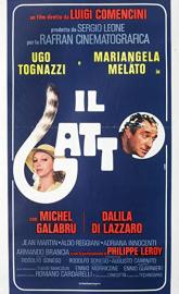 Il gatto poster
