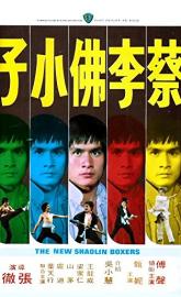 Cai li fa xiao zi poster
