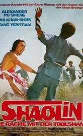 The Shaolin Avengers poster