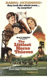 The Littlest Horse Thieves poster