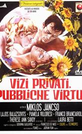 Private Vices, Public Pleasures poster