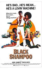 Black Shampoo poster