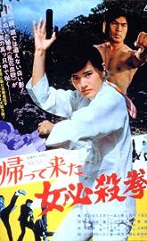 Return of the Sister Street Fighter poster