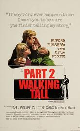 Walking Tall Part II poster