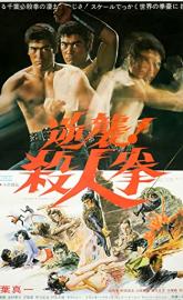 The Streetfighter's Last Revenge poster