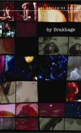 The Stars Are Beautiful poster