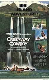 The Castaway Cowboy poster