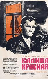 The Red Snowball Tree poster