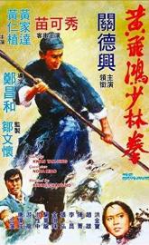 The Skyhawk poster
