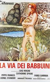 La via dei babbuini poster