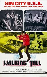 Walking Tall poster
