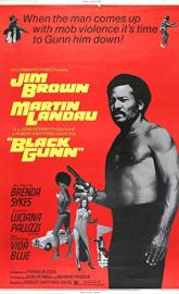 Black Gunn poster