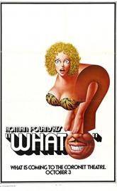 What? poster