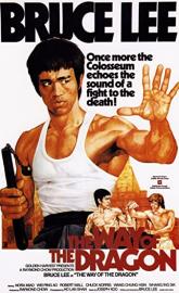 The Way of the Dragon poster