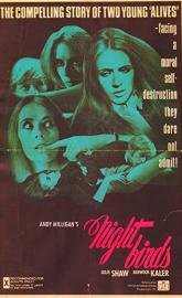 Nightbirds poster