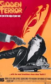 Sudden Terror poster