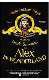 Alex in Wonderland poster