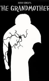 The Grandmother poster