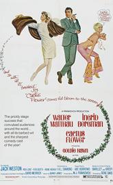 Cactus Flower poster