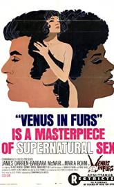 Venus in Furs poster