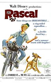 Rascal poster