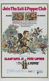Salt and Pepper poster