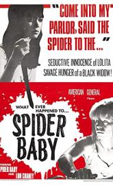 Spider Baby or, the Maddest Story Ever Told poster
