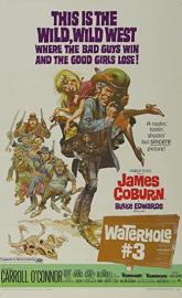 Waterhole #3 poster