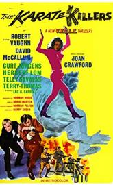 The Karate Killers poster