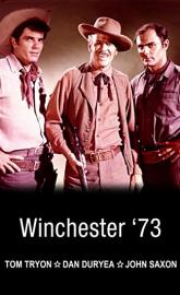Winchester 73 poster