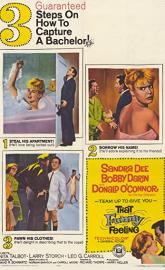 That Funny Feeling poster