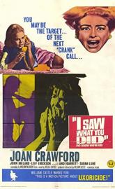 I Saw What You Did poster