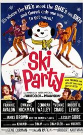 Ski Party poster