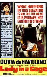 Lady in a Cage poster