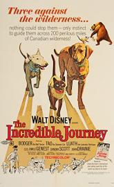 The Incredible Journey poster