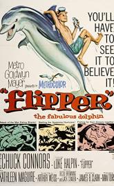 Flipper poster