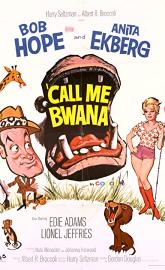 Call Me Bwana poster