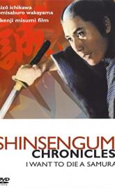 Shinsengumi Chronicles poster