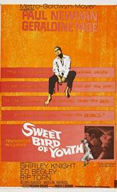 Sweet Bird of Youth poster